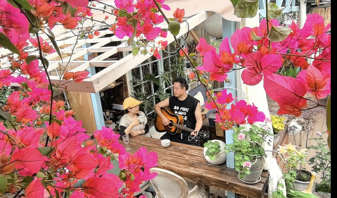 不知不觉又到了人间四月天。花园里最美的季节。

年轻的时候更喜欢秋天。总觉得秋天