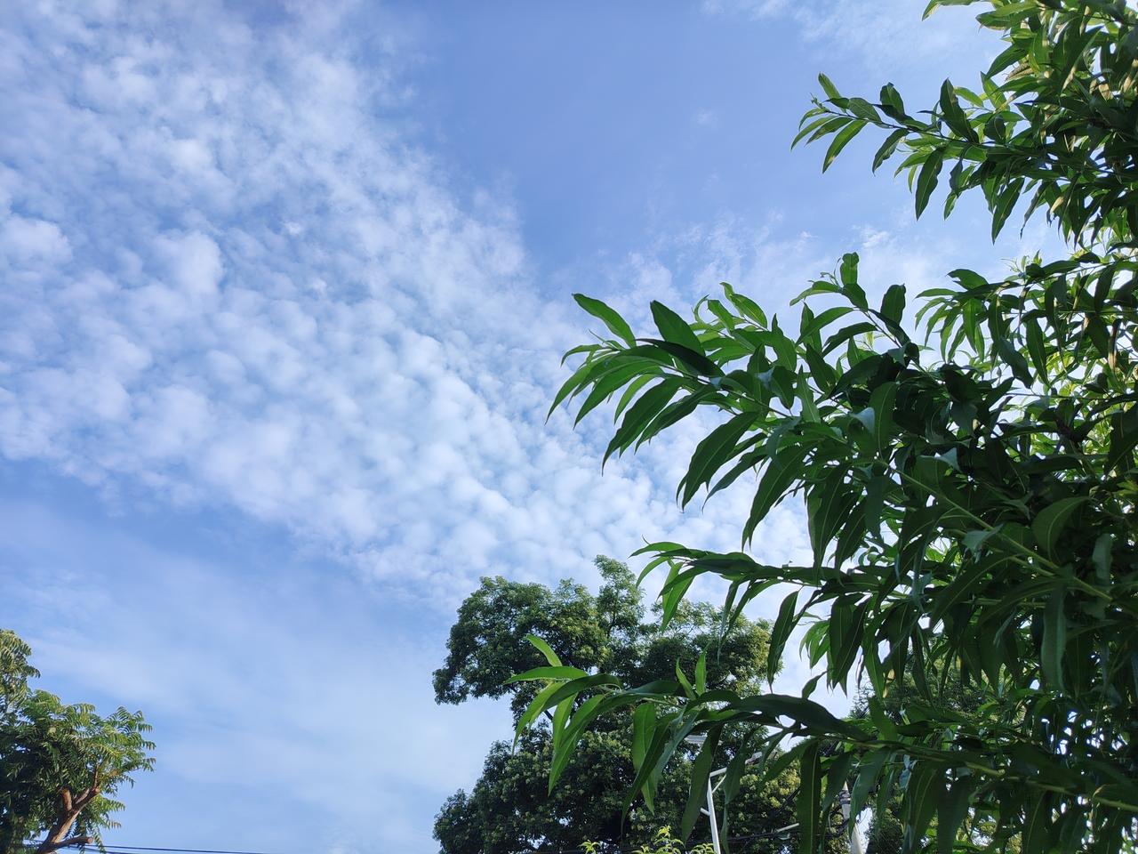 晒图笔记大赛每一片绿叶都在努力向上，每一缕阳光都在倾尽温暖，愿你在盛夏里，也如草