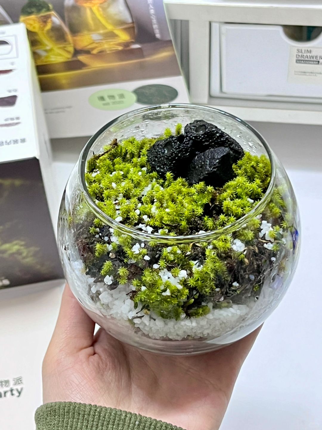 这片景观～宛如天上星辰的点点星光