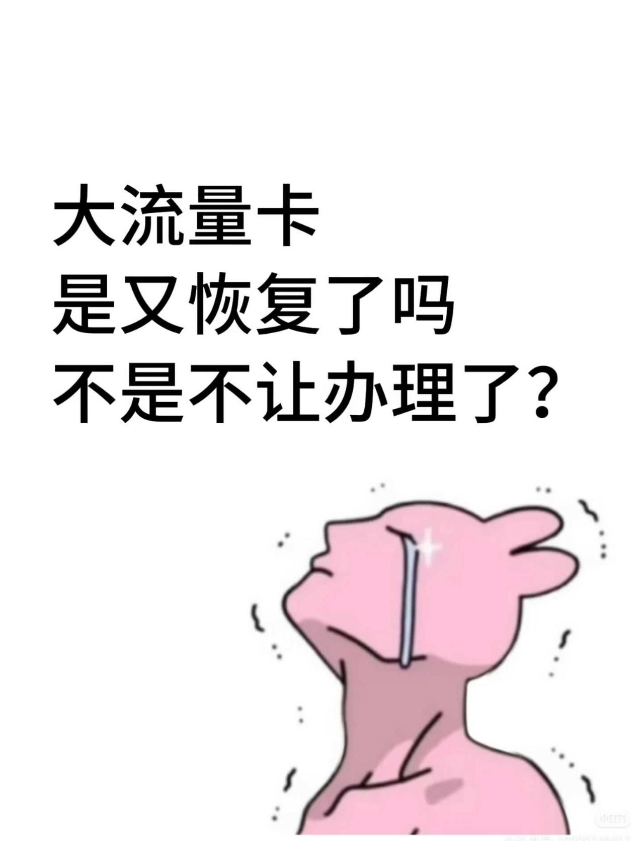 大流量卡是又恢复了吗
流量卡 畅享网络生活 流量卡避雷 手机卡