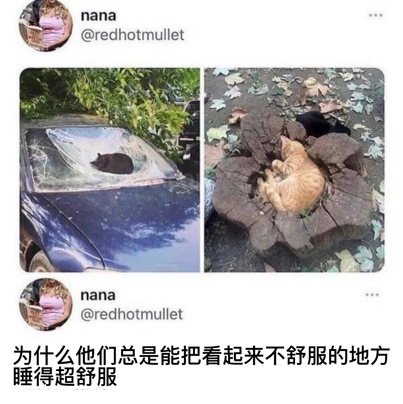 以天为盖地为炉#今日memes# //#新年快乐漫游指南# ​​​