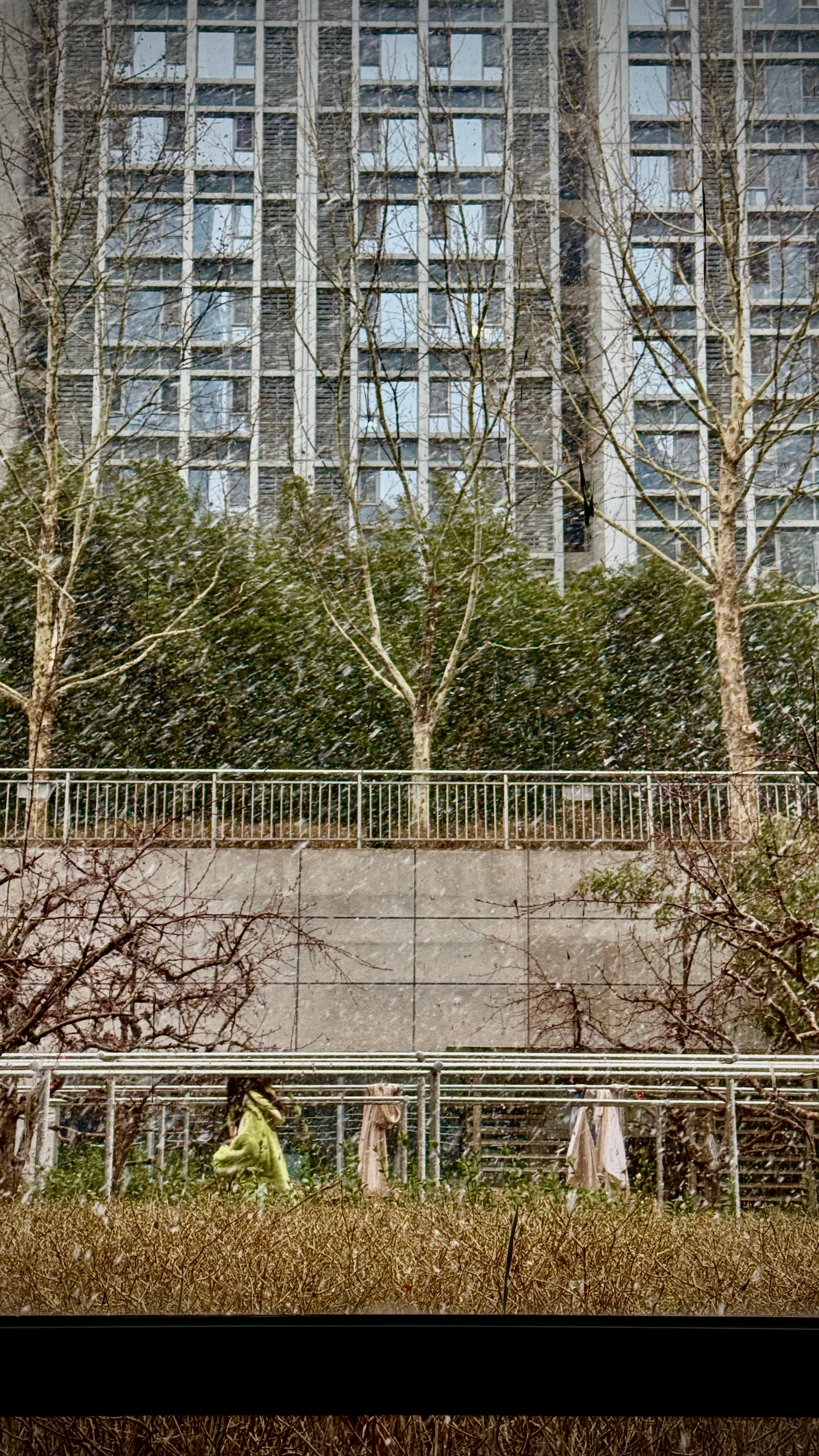 北京大雪 这就来了坐标通州[并不简单] 一下午过成了冬天  ​​​