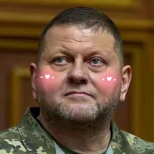 仗打完了，事就完了？乌克兰前总司令扎卢日内最近发出警告：等俄乌冲突一结束，乌克兰