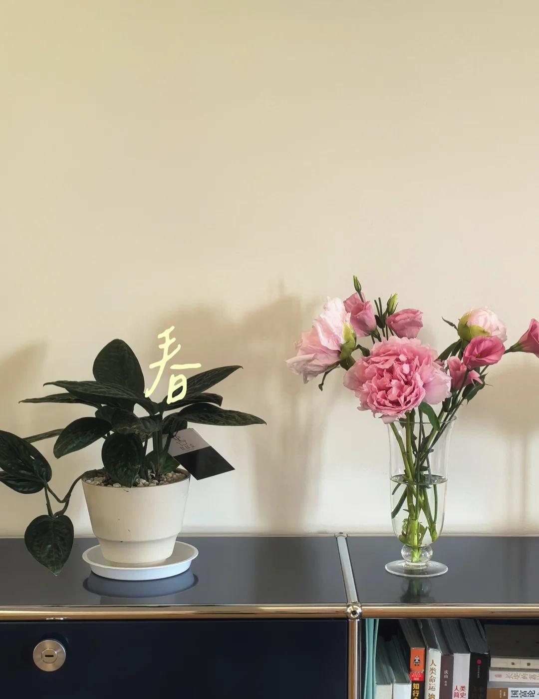 谁不是个中年少女呢