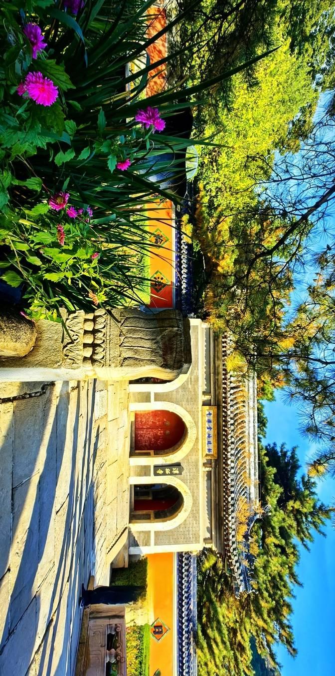 早上起来，天刚蒙蒙亮，我就迫不及待地去了潭柘寺。这地方真不是盖的，一进大门，那红