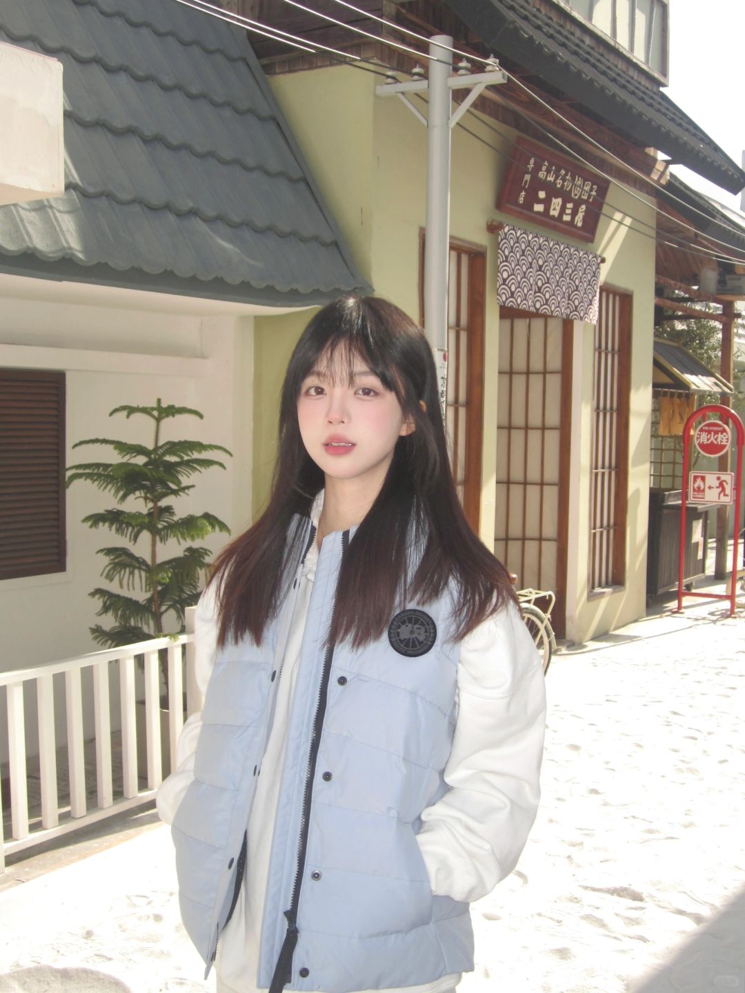 北海道的冬⛄️
