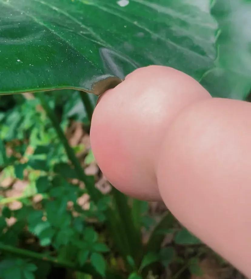 伸出圆手2.0
阳光下的珠光猪蹄杂
胖手 萌娃日常 骗你生女儿 搞笑 治愈