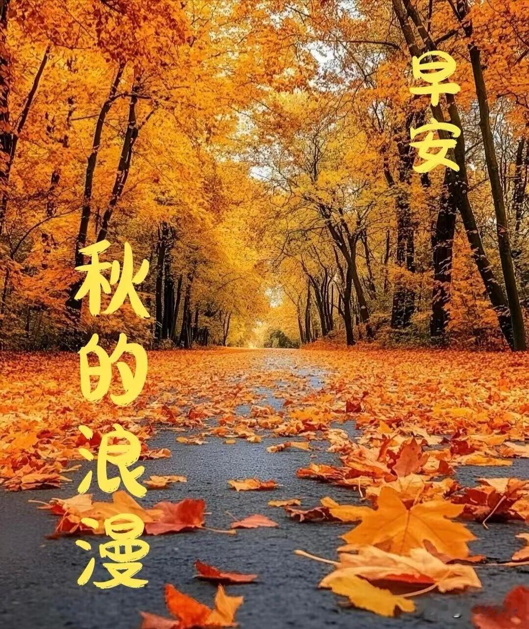 🍂²⁰²⁶/₁₀.₁₉ ᵕ̈ 🌞早安｜四季从容☕️🍒🍑
🍃𝐆𝐨𝐨