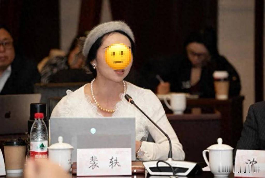 北理工裴轶事件再有新进展，有网友留意到，她的官网个人页面已悄然改动。原先“法学院