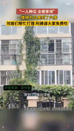不出意外，

意外还是发生了

丝瓜突然火了，

不是因为它好吃

也不是因为它