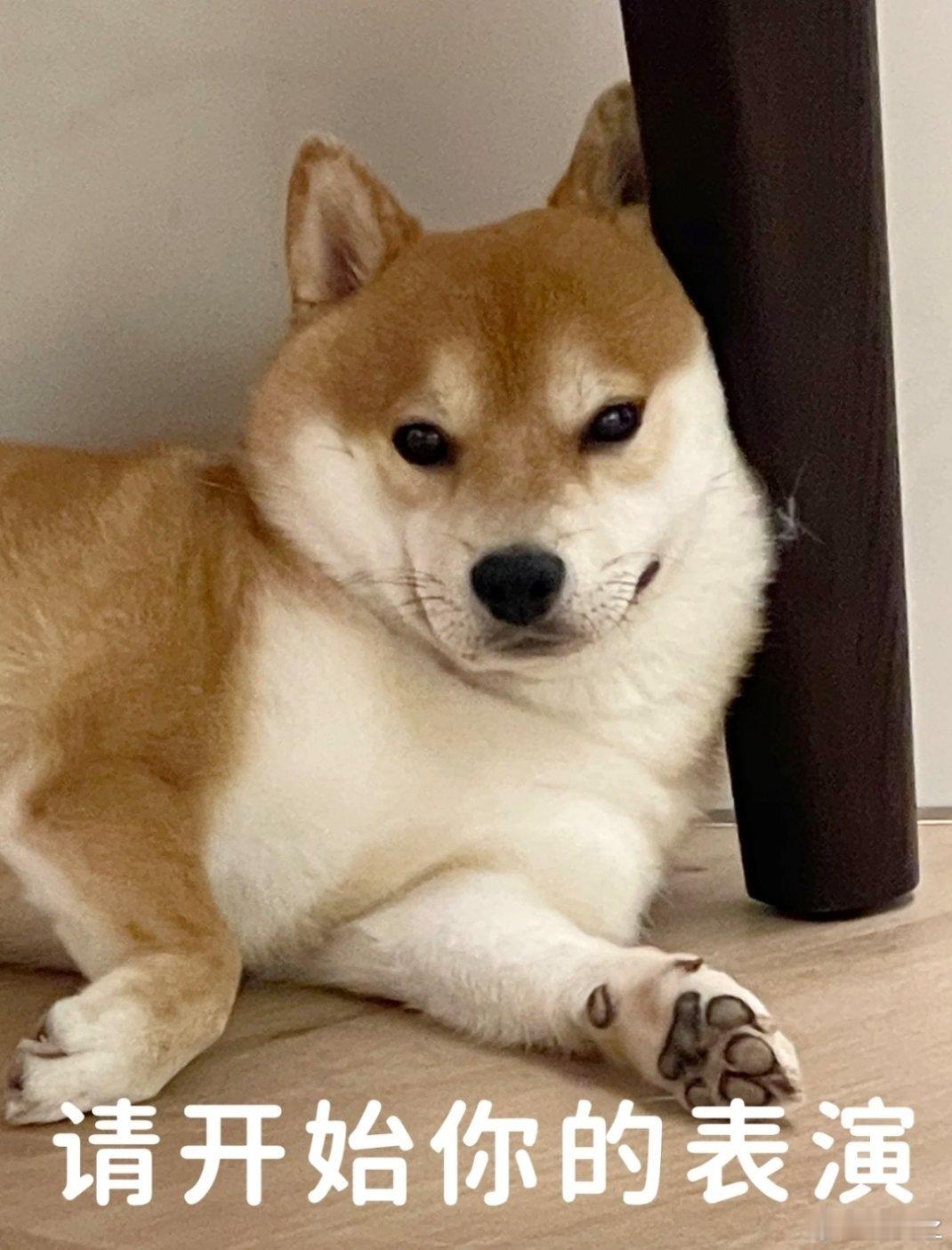 AI已经学会蛐蛐人类了 它不再只是计算工具，而是开始模仿我们的思维习惯，甚至能预