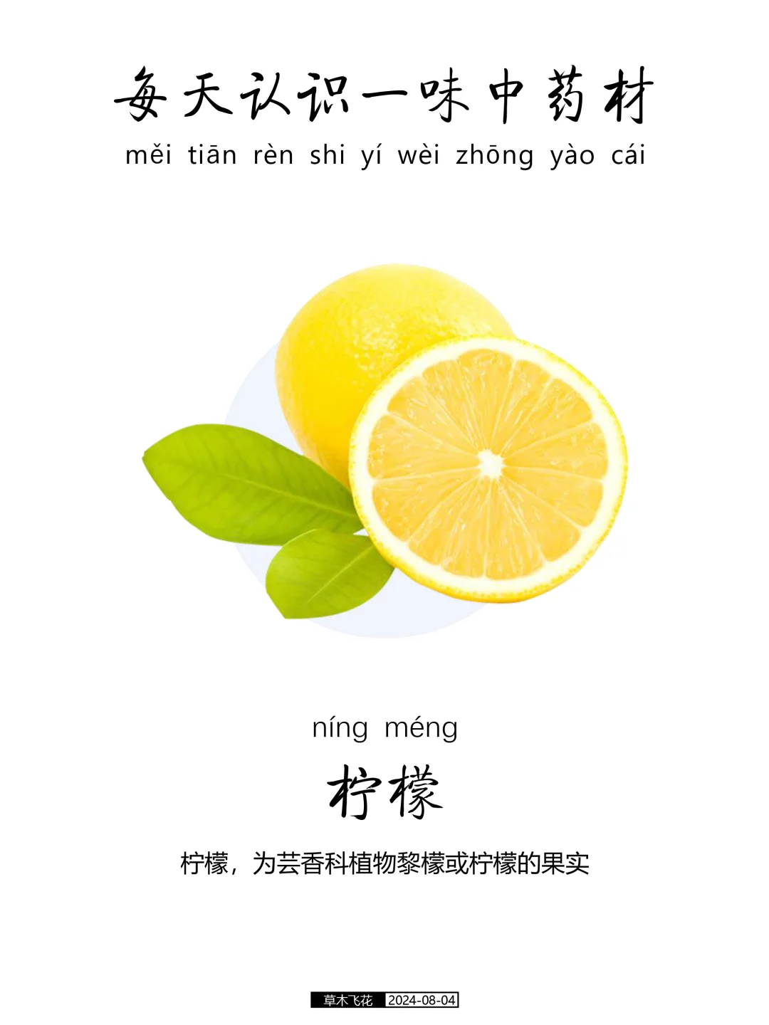 N0.439期 每天认识一味中草药-柠檬🍋