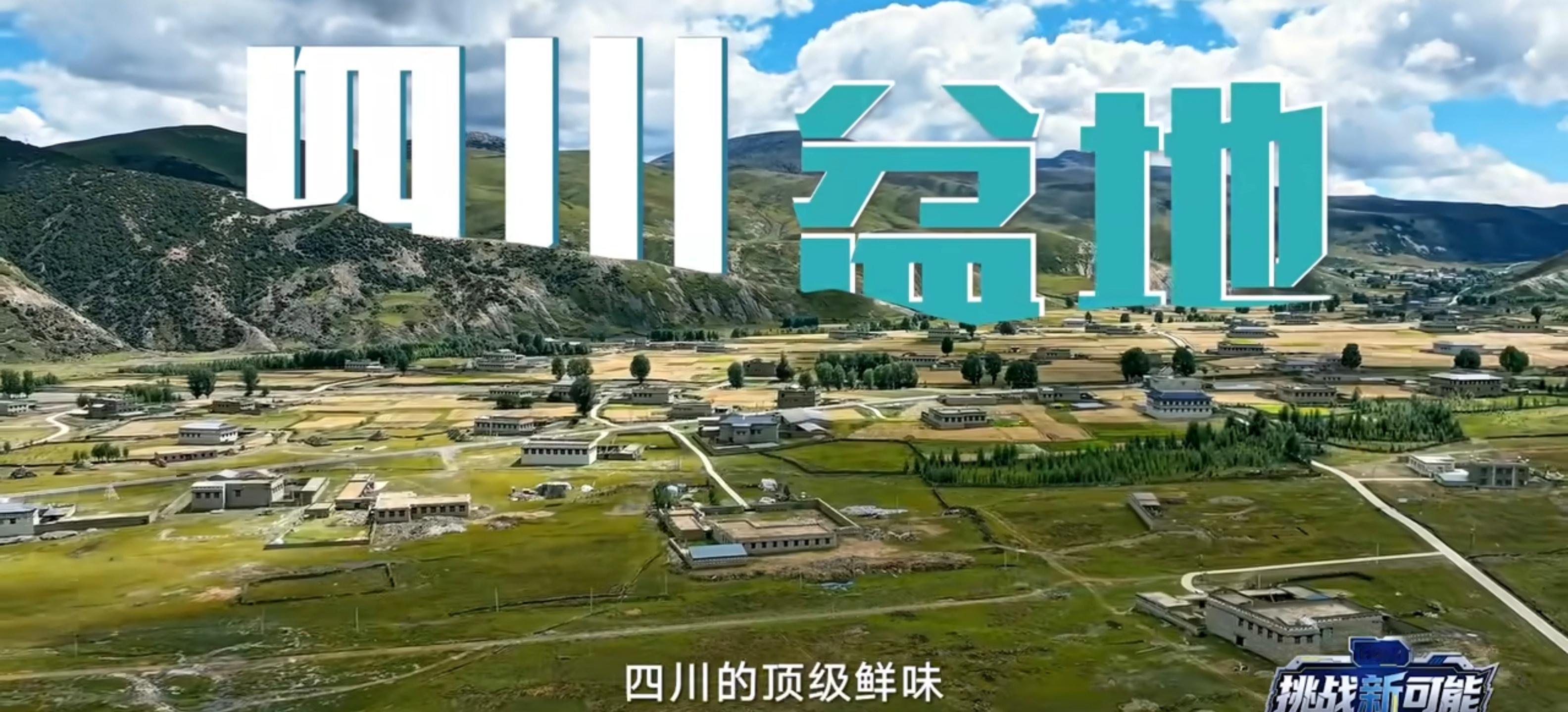 刷到朱迅王健徒手抱起大大大大大鱼 我第一反应是：这鱼要是放普通冰箱，几天就蔫了，