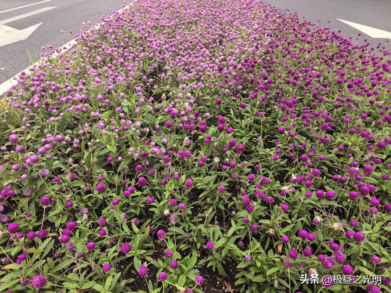 欧洲今年夏天高温难耐，原本凉爽宜居，一下变得暑热难当。

中午一起做事的人随意聊