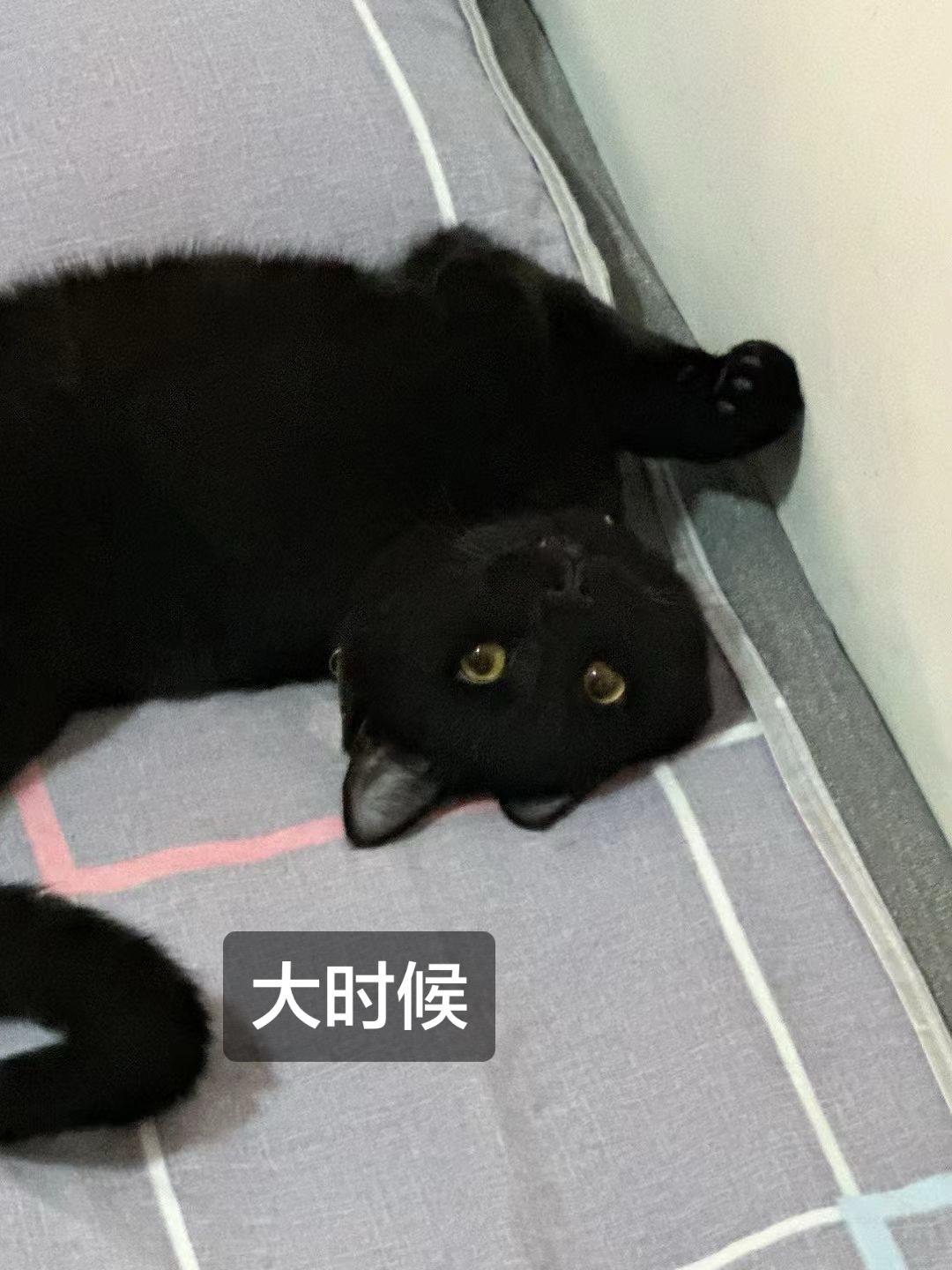 大时候vs小时候