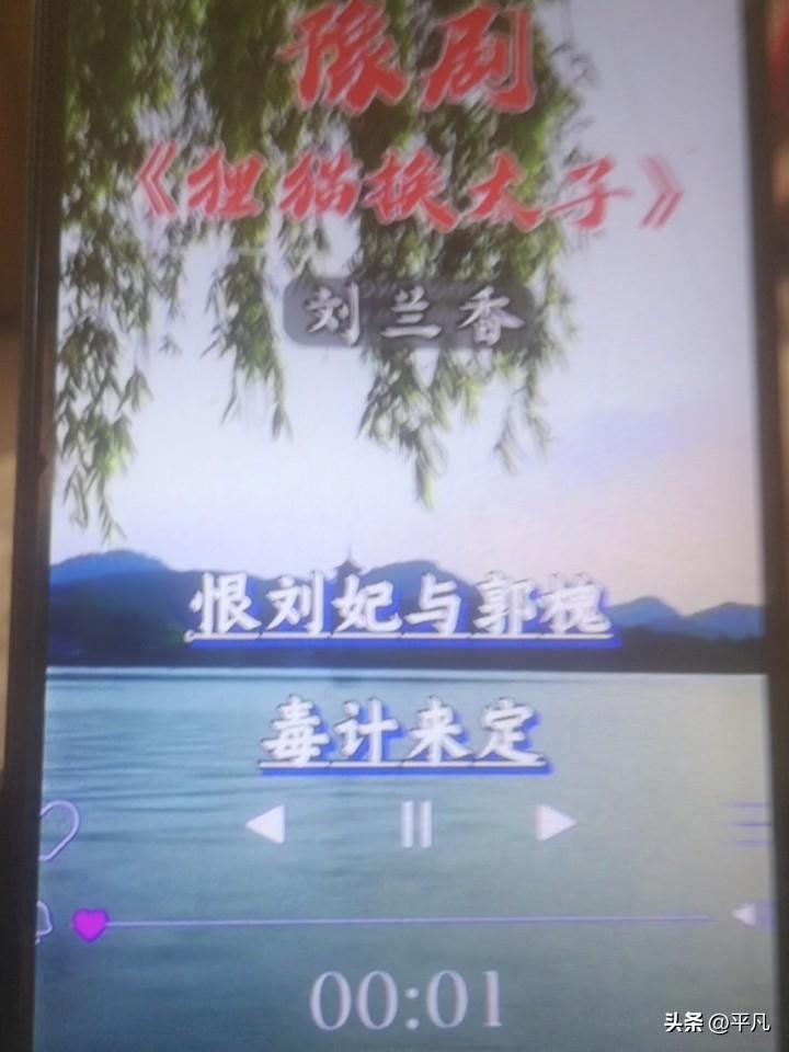 刘兰香，是安阳宏声市豫剧团团长，还是国家二级演员，带着全团40多人常年奔波在晋冀