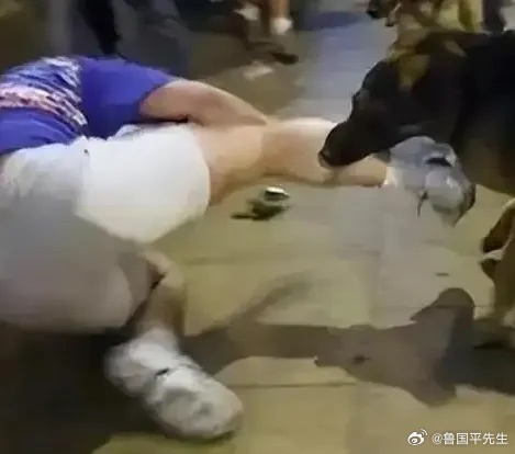 男子下班路上突然遭遇恶犬撕咬，为求自保直接将狗砍死。可当他向狗主人索赔医疗费时，