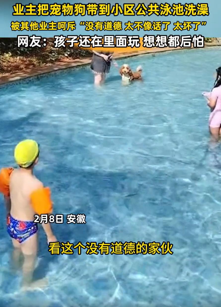 “太不像话了！”安徽，一男子到小区游泳池游泳，却发现一名女业主竟然把自家的宠物狗