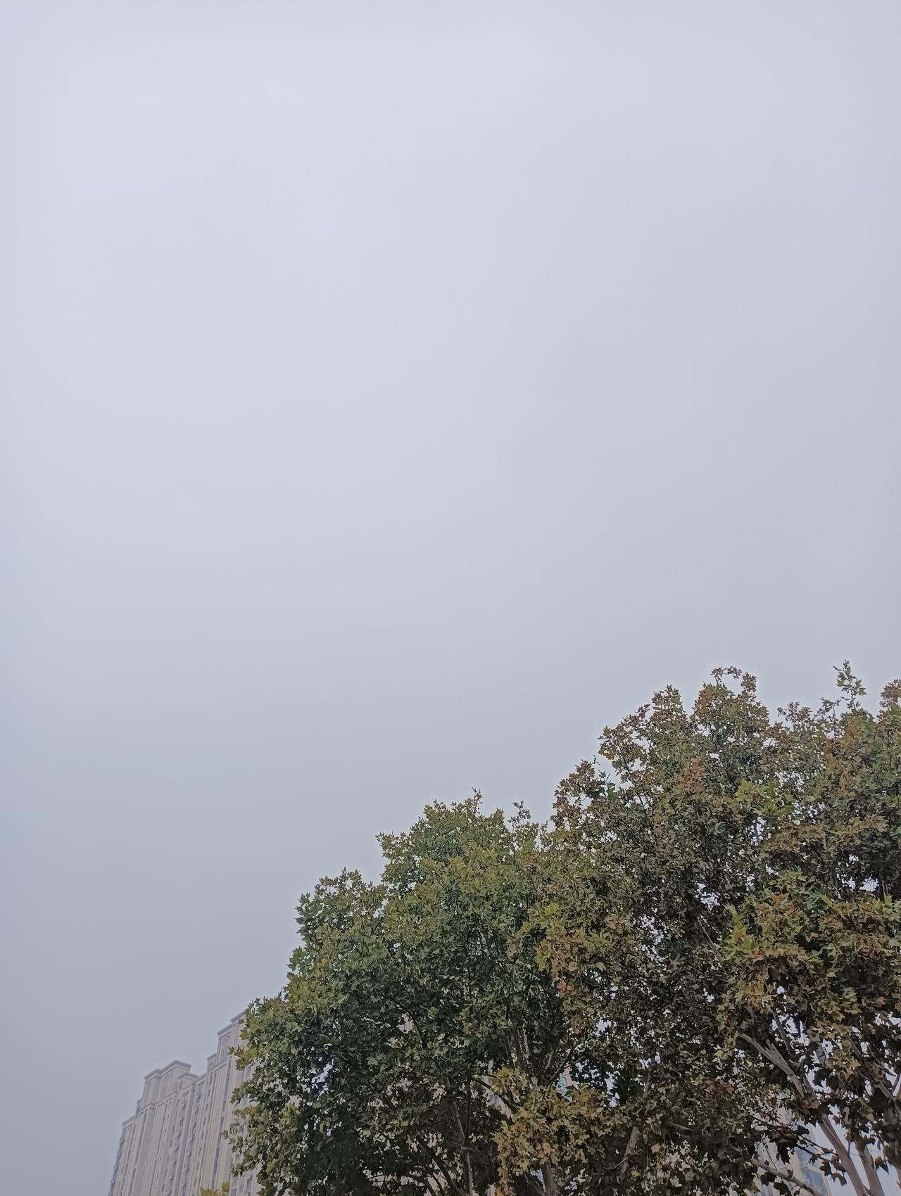 近现代巩义市名人

1:刘茂业（刘镇华），1883年生于巩义市原南河渡镇（今河洛