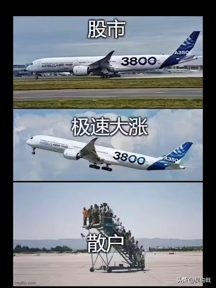 这图有点意思，但实际上估计散户更惨，散户很多可能还是上机了，但是没有上到起飞的，