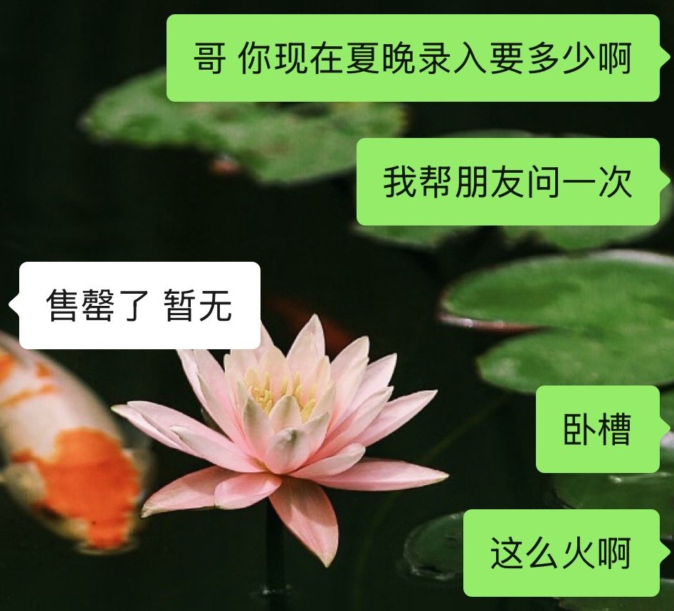 yzn你们… 