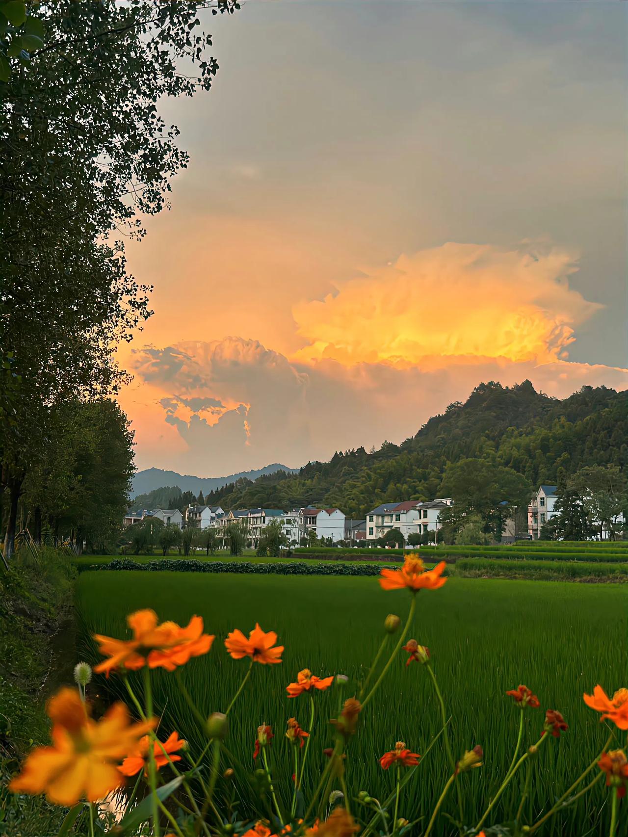 在喜欢的状态里生活🌄
零零落落又满满当当的小日子～