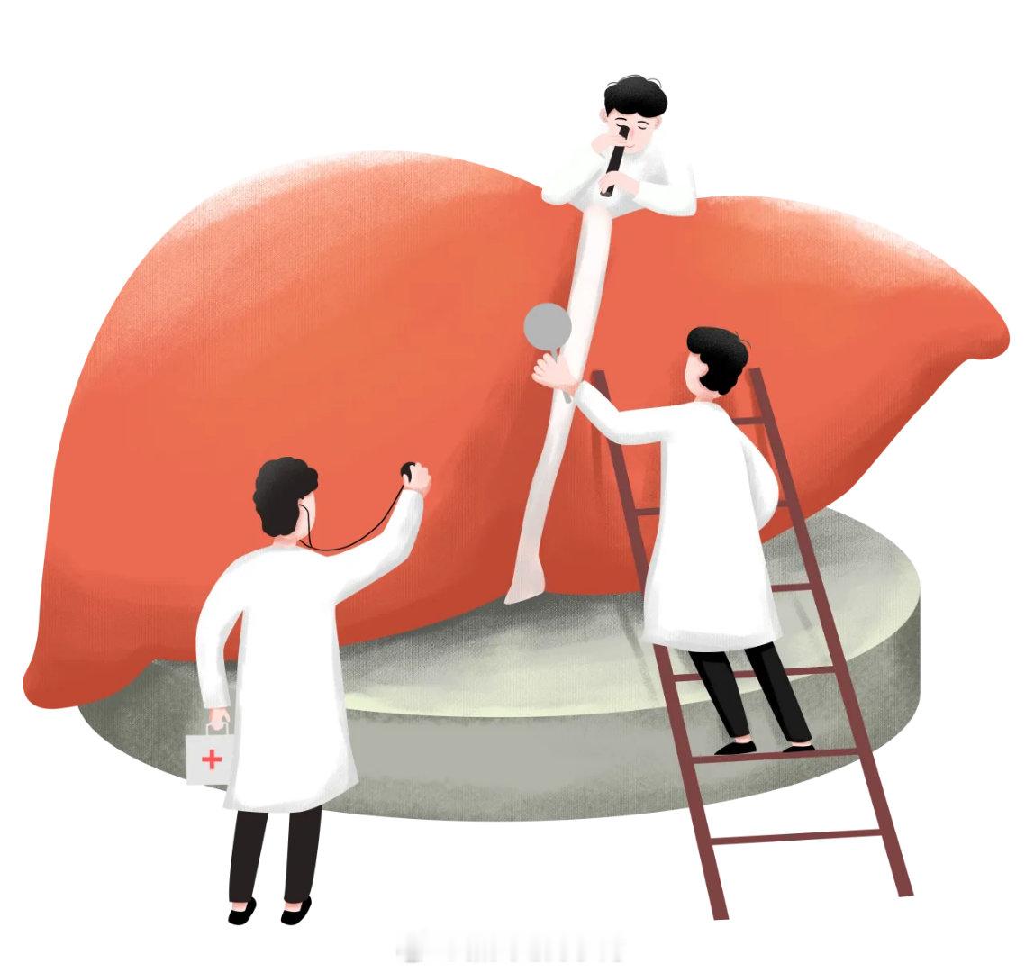 关注生活 关注健康丁肝：依附乙肝的“隐形杀手”提到肝炎，大家比较熟悉的是甲肝、乙