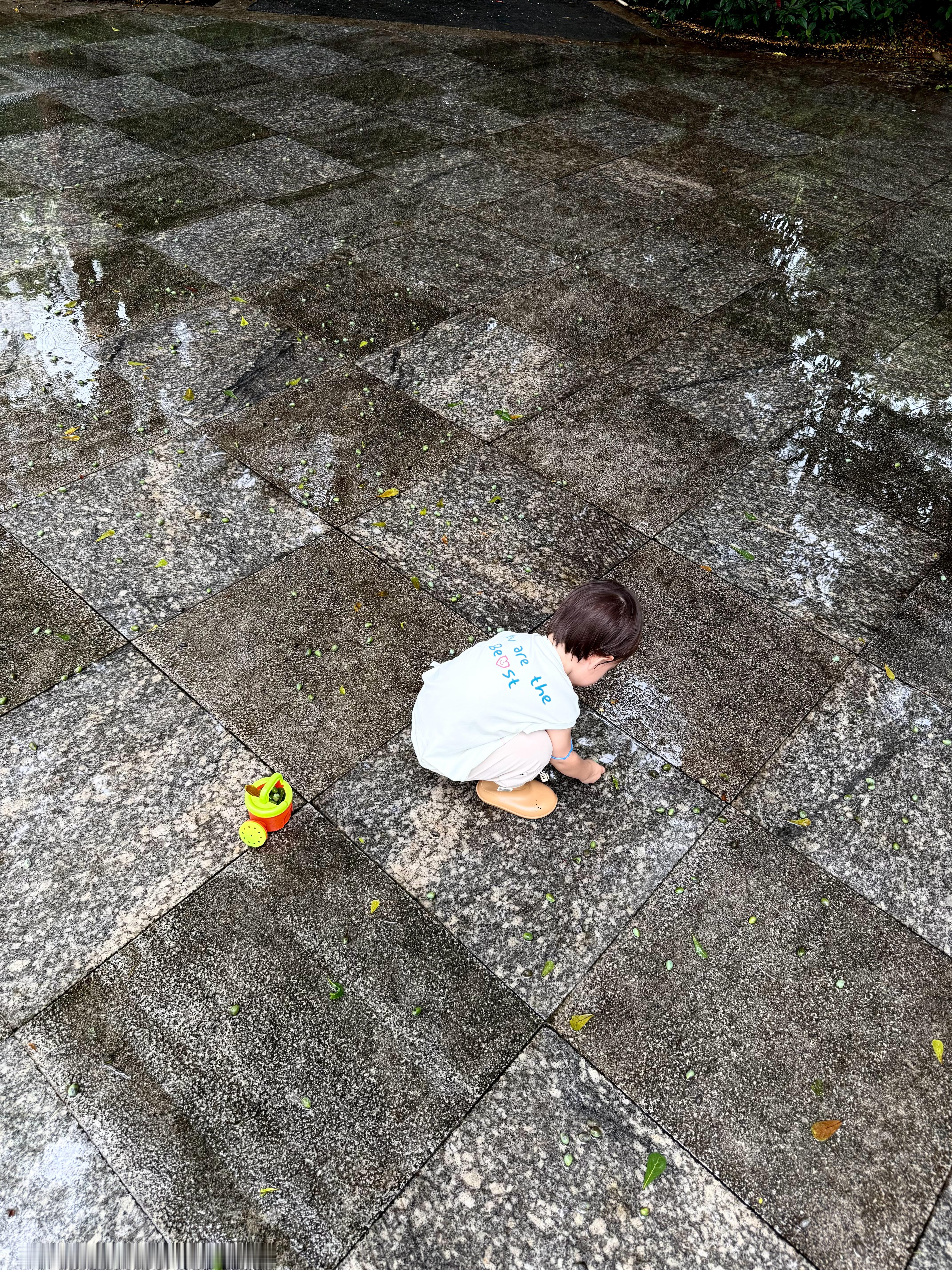 妈萌来信：雨刚小了一点，采集者的后代又开始了忙碌的工作。她知道，经历过一番狂风暴