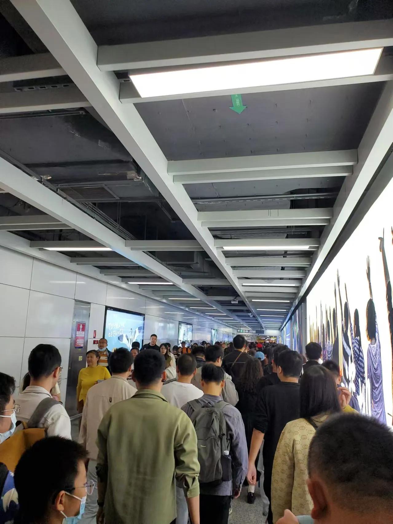 今天深圳湾人山人海的，地铁站超级多人了，周末都出来看海鸥了。打卡深圳海湾