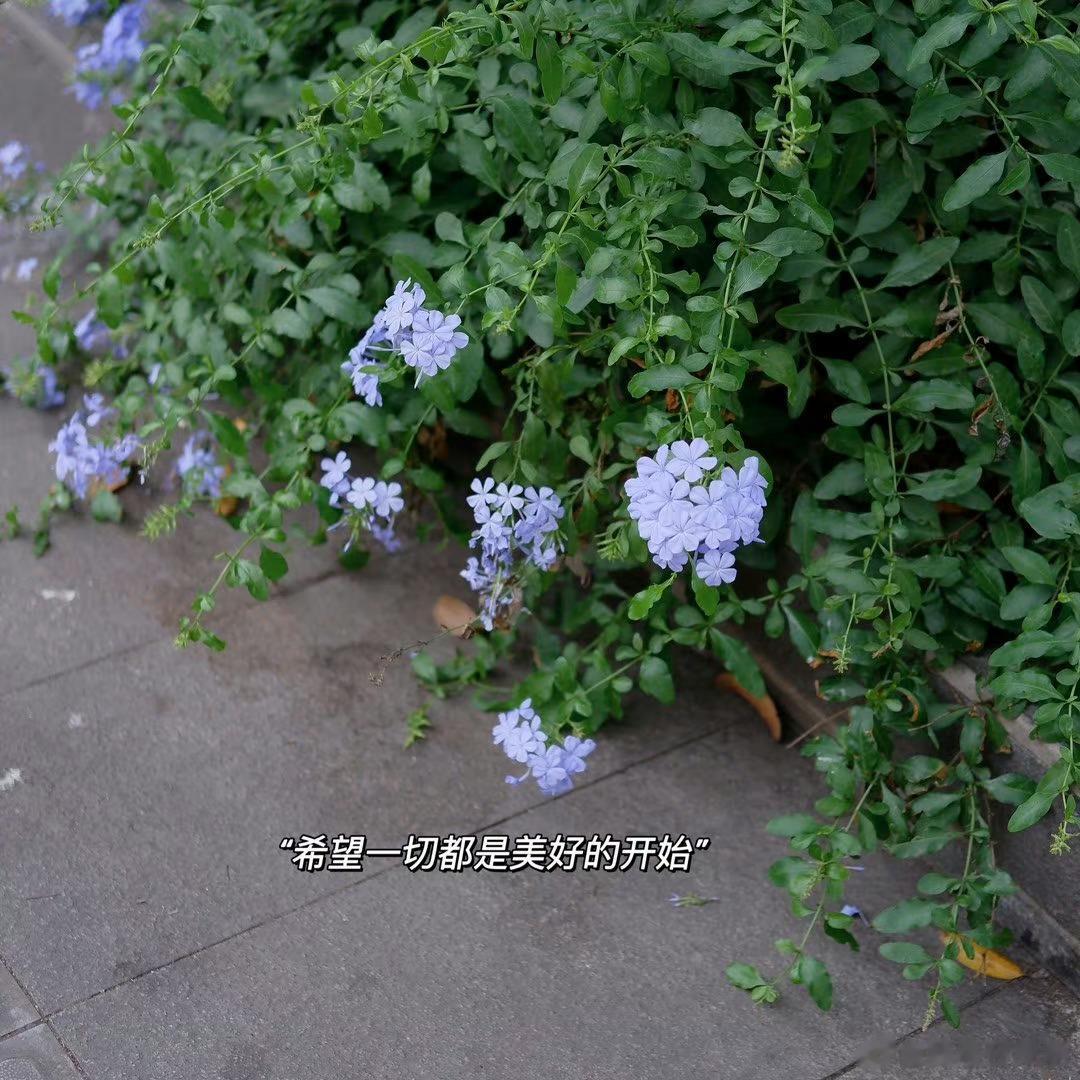 永远热爱生活，不忘浪漫#夏日治愈瞬间# ​​​