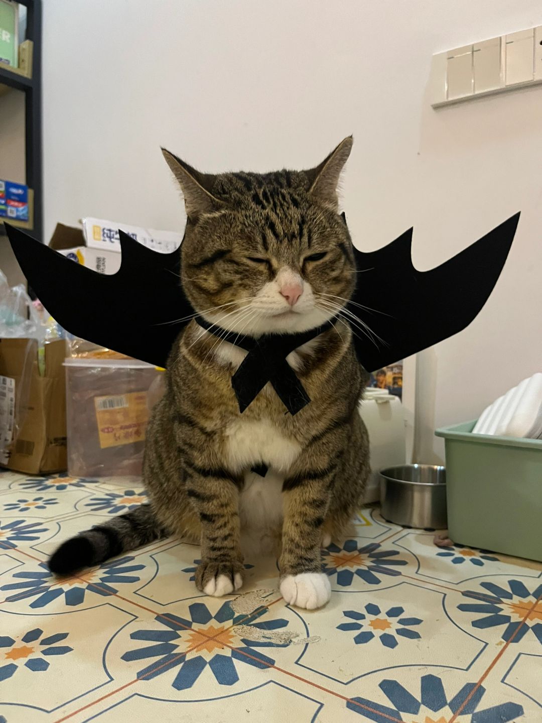 🎃🎃🎃这个恶魔有点呆萌呀