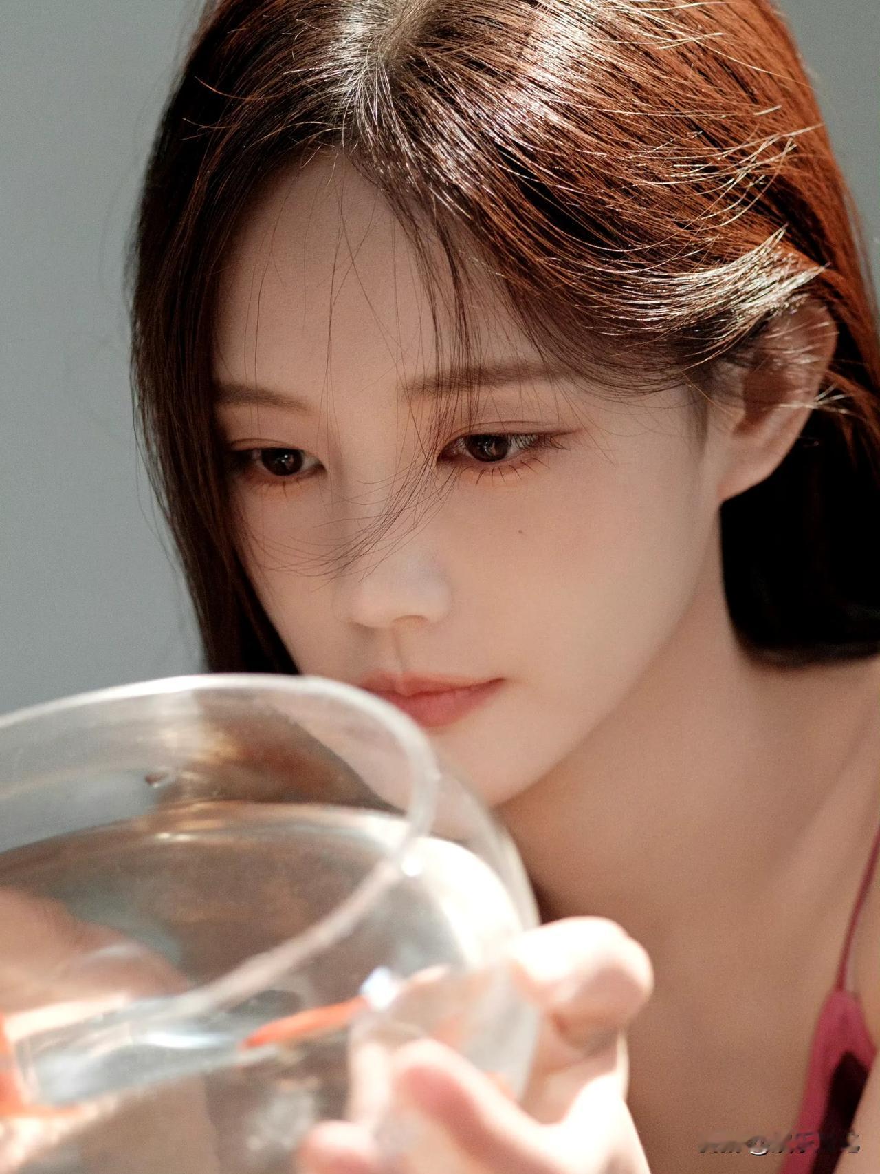 李一桐
