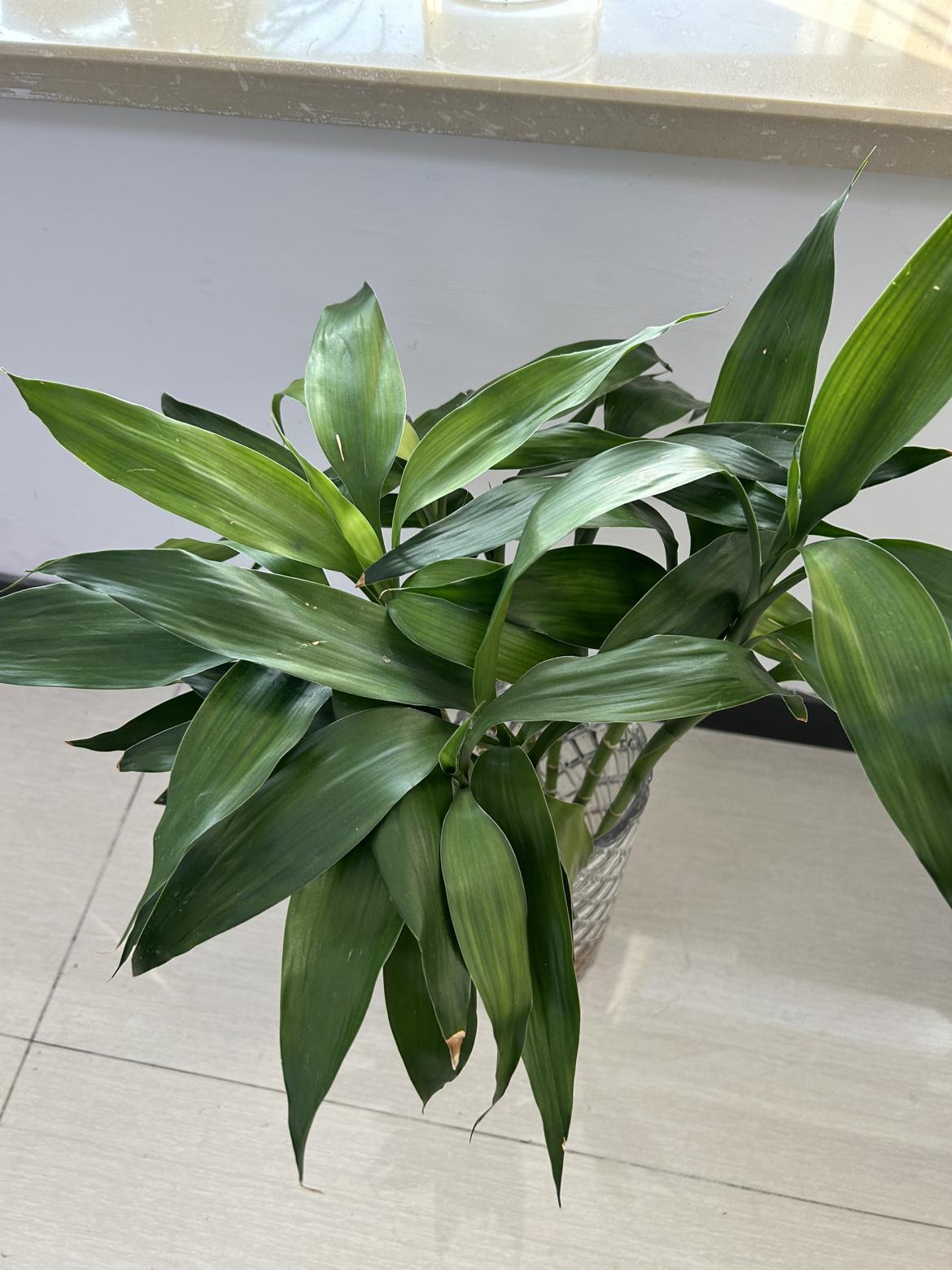 我的今日状态：😁轻松愉快
我这里的天气：☀️晴天