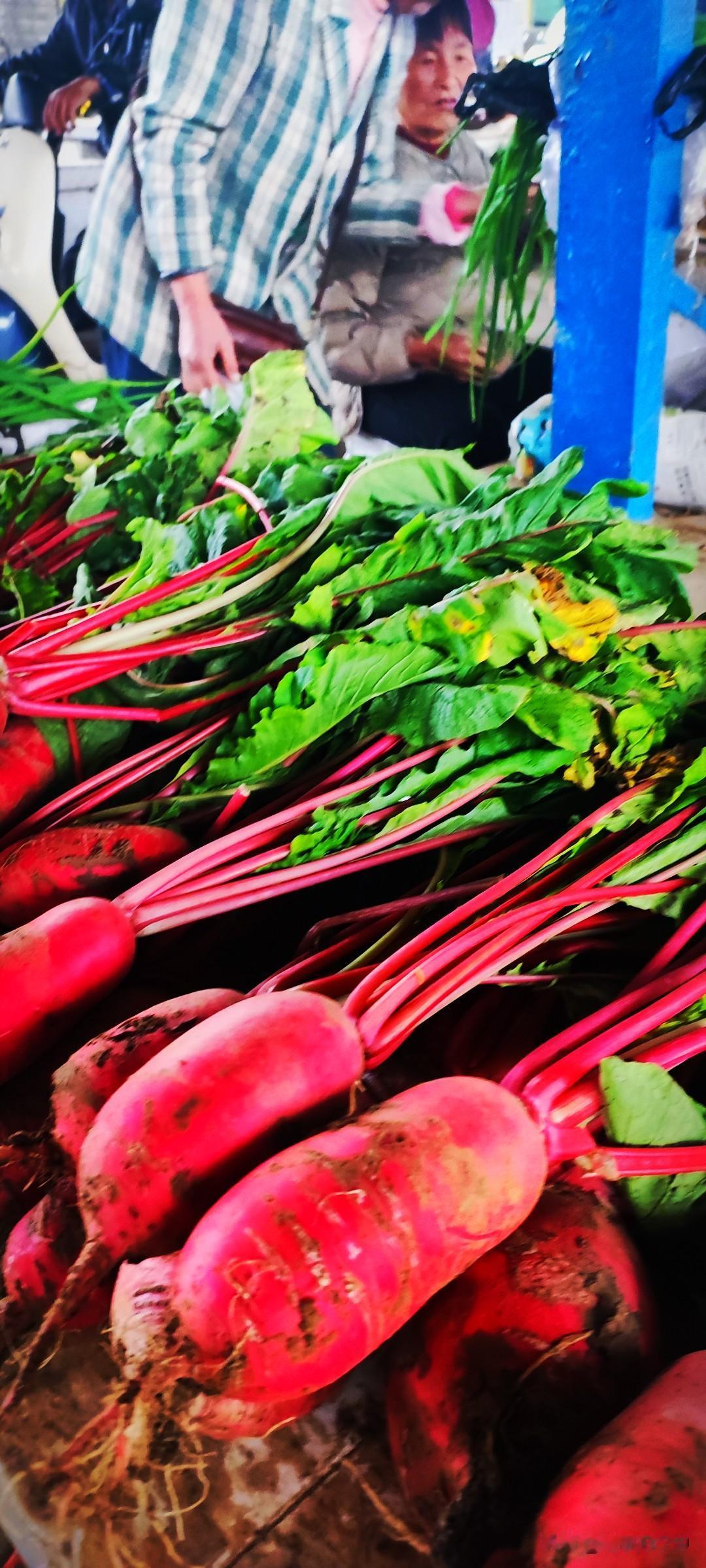 晒图笔记大赛“冬吃萝卜”，这种红皮萝卜适宜凉拌，印象里也有见到一次别人家里熬菜的