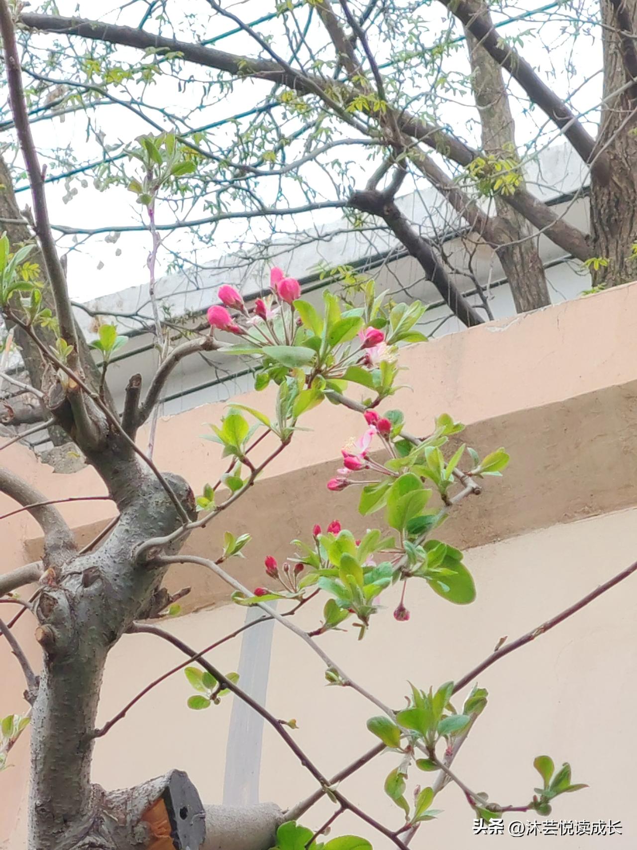 退休以后，才是人生真正的开始
 
很多人一到60岁，就觉得人生到头了。
大错特错