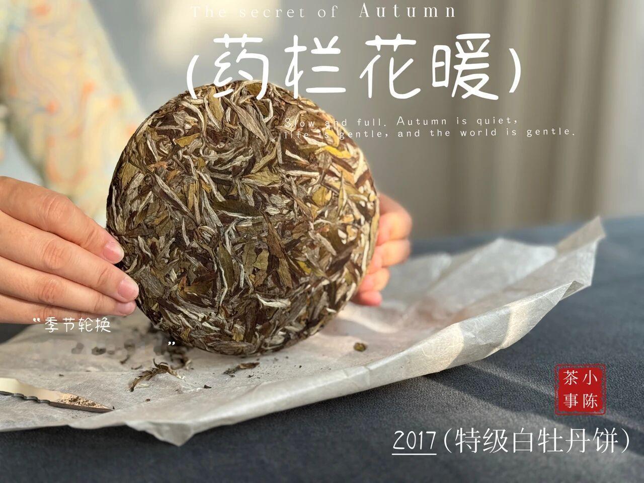 晚上喝什么茶，对身体很友好？
若要喝夜茶，村姑陈的首选从来都是老白茶。
俗话说得