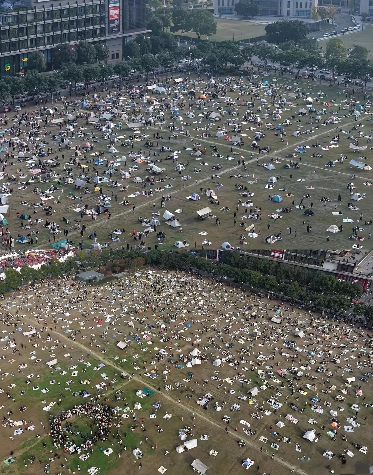 在四川，冬天出太阳就跟过节差不多。坐标：成都温江 