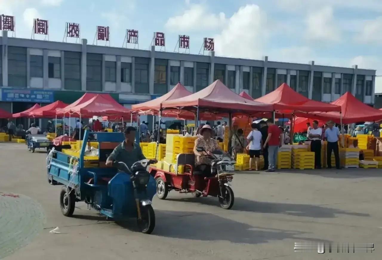 就问你们，吃过我们这里的水蜜桃没呀？那可是“江南佳品人间鲜果”呐！

我们这里种