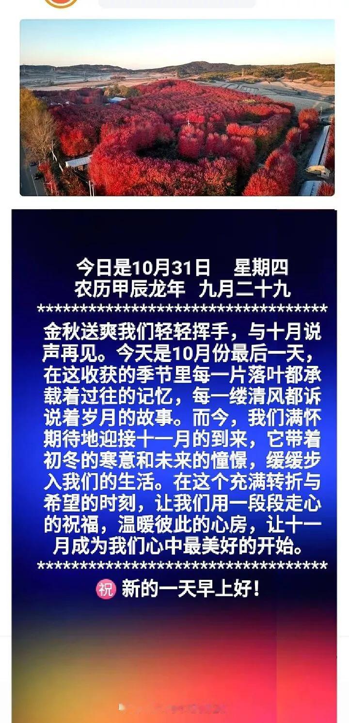 早上好。
