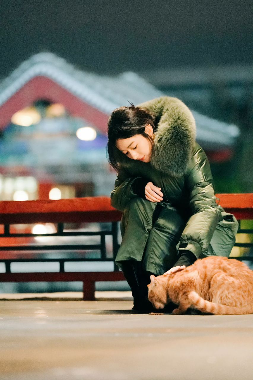 #赵丽颖月色下喂小猫# #赵丽颖喂猫随拍# 赵丽颖喂猫随拍，可可爱爱的丽丽和小猫