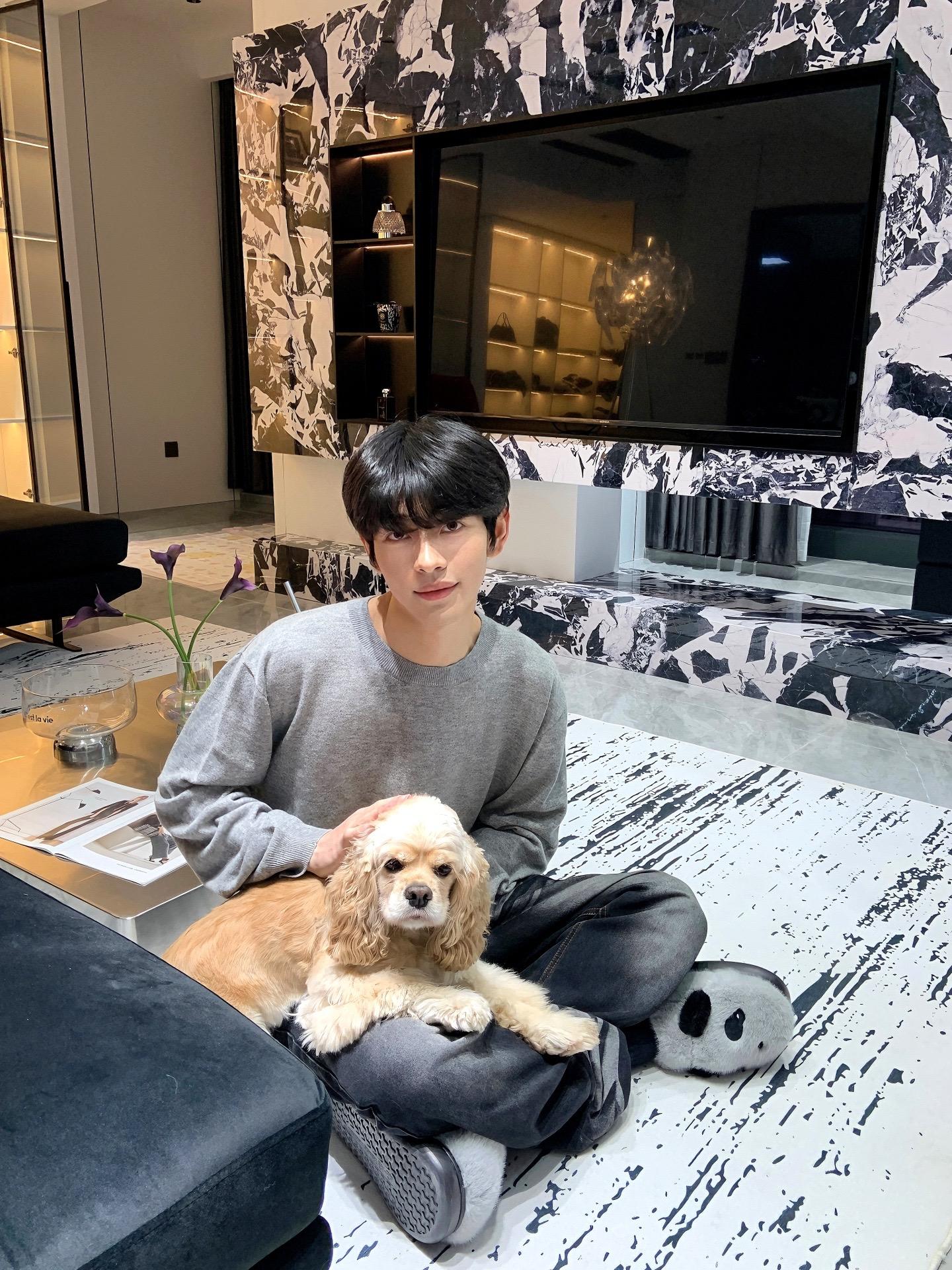 直到幸福可以触手可及