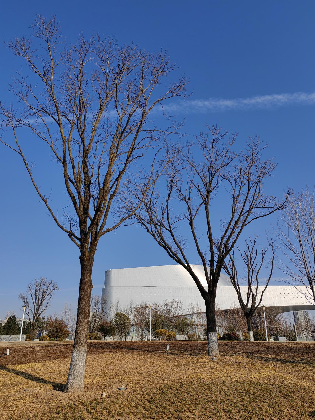 是什么落到地上？是企业的文化理念，主要是使命、愿景和价值观。
使命决定了一个企业