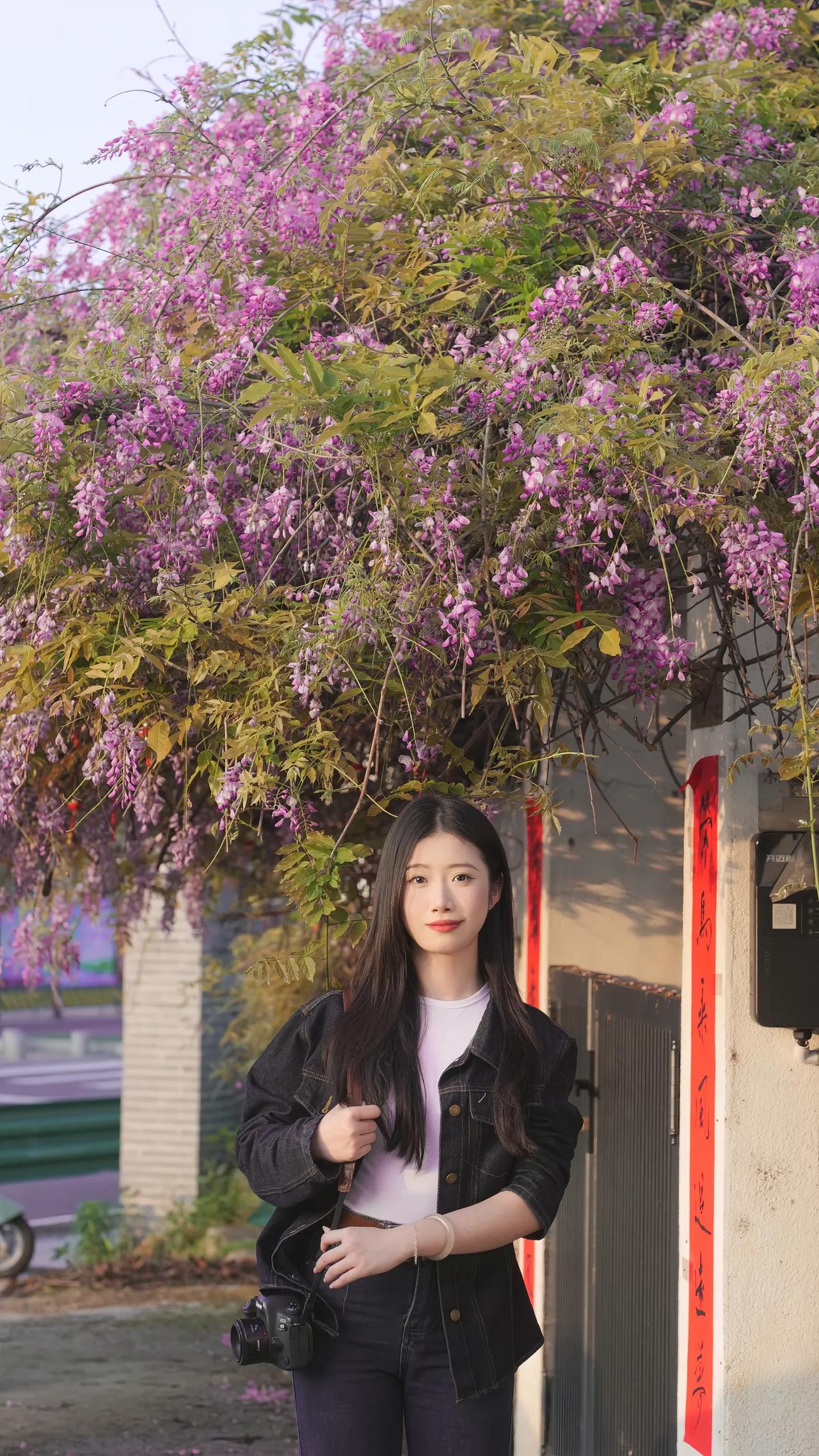 花开花落，岁月如歌。