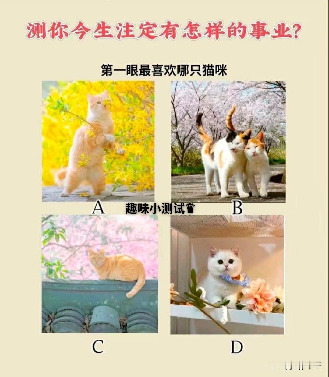 ?

第一眼最喜欢哪只猫咪