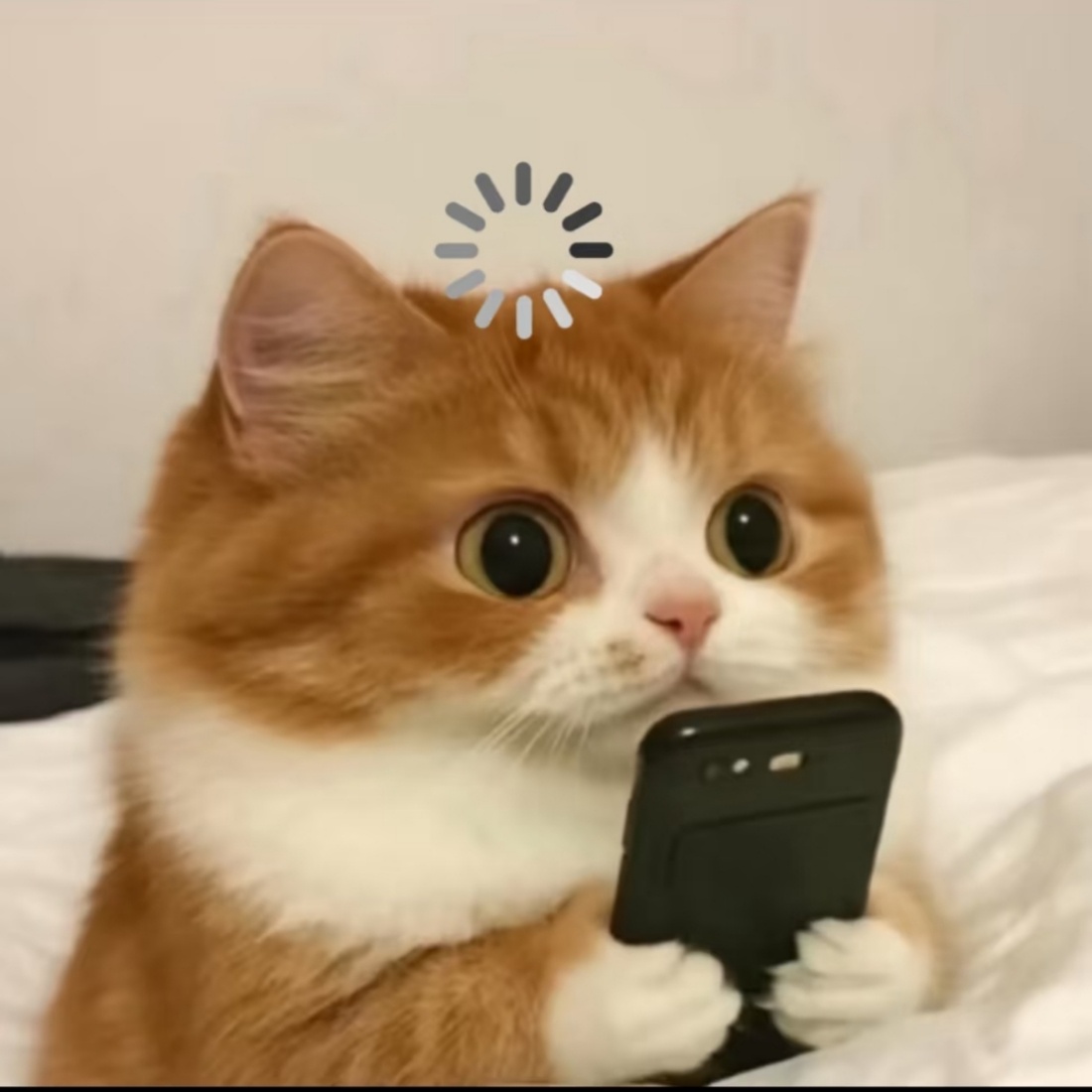 乐视网总市值仅剩12亿他们不是还在靠《甄嬛传》活着吗，不是偶尔有营销号说乐视员工