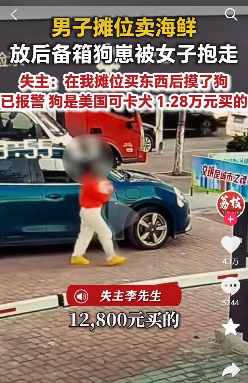 “丢河北人的脸了！”河北，一位女子去鲜货店买东西，期间，看到老板养的狗因为太喜欢