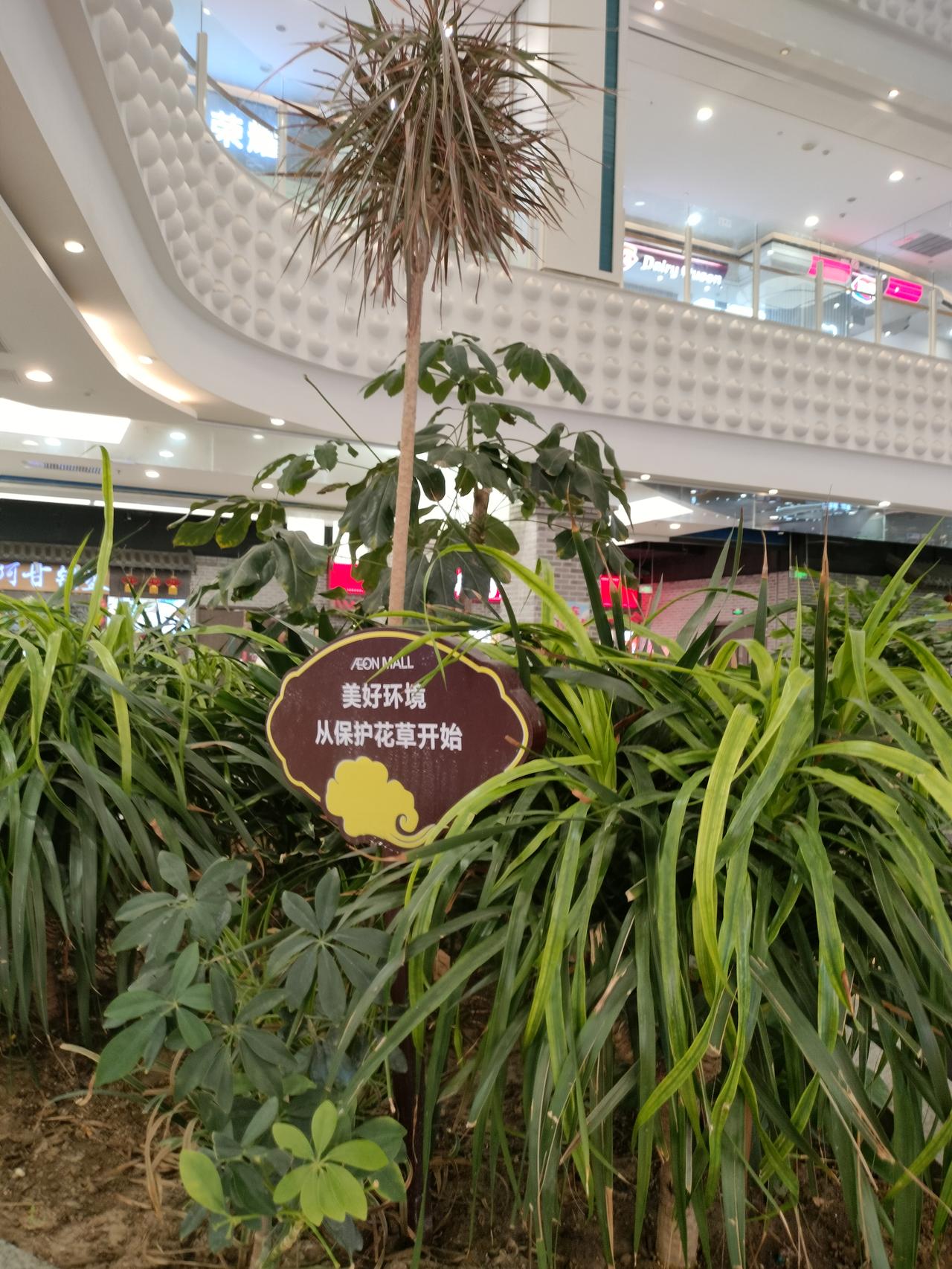 燕郊永旺商场一层，偶遇这片清新绿植，一眼就被警示牌上的标语戳中：美好环境从保护花