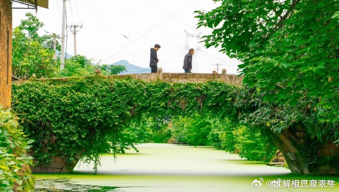 这座桥藏着古章安留给台州最直观的历史印记在椒江章安老街中段，章安桥静静横跨回浦河