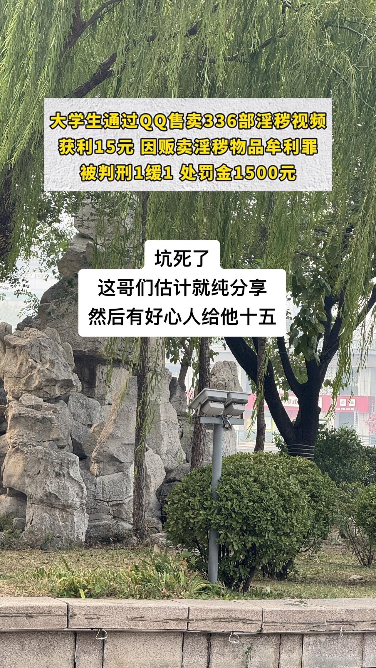 #大学生售卖336部淫秽视频被判刑