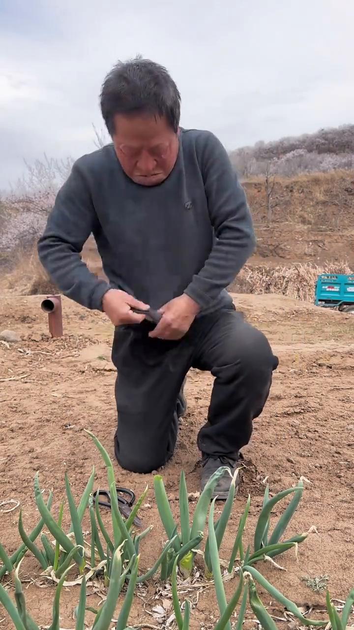 如果不是亲眼所见我是万万不敢相信。